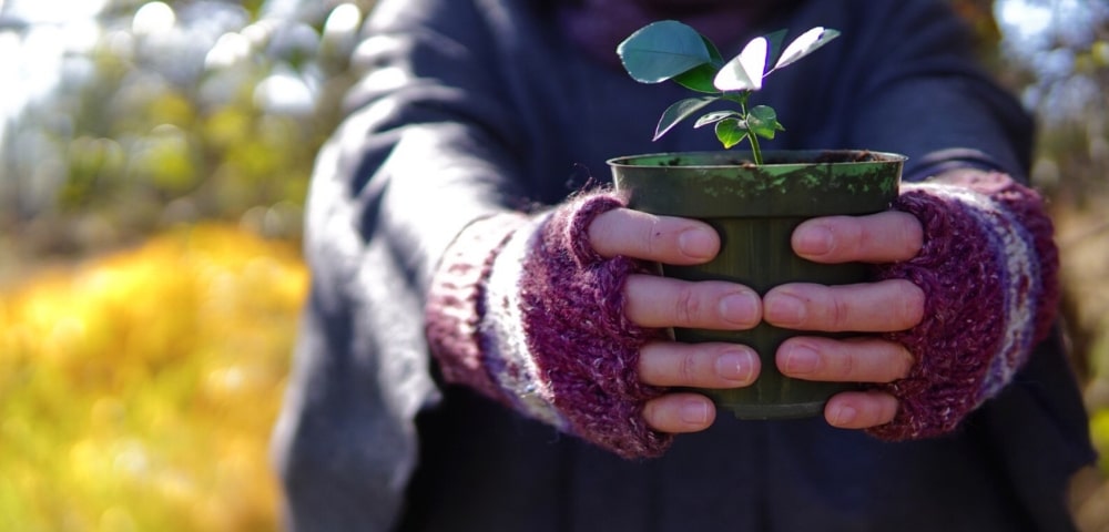 Off-Setting Our Carbon Footprint