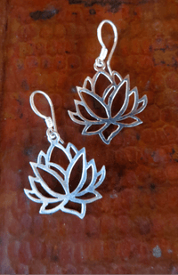 Sterling Earring EBH423