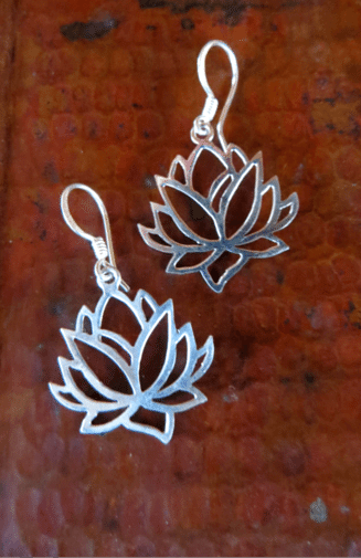 Sterling Earring EBH423
