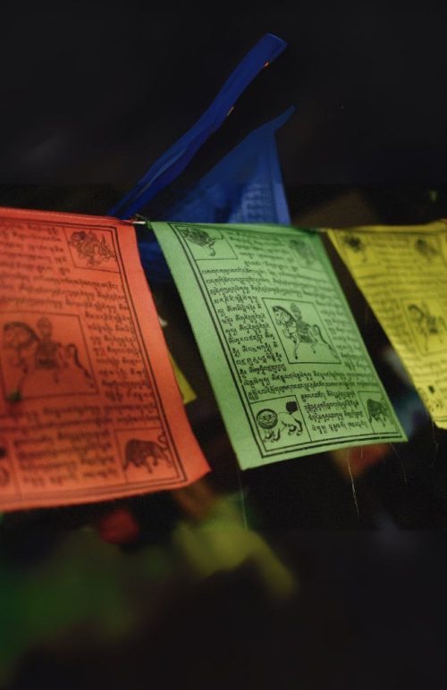 long wind horse prayer Tibetan prayer flag 25 flag string